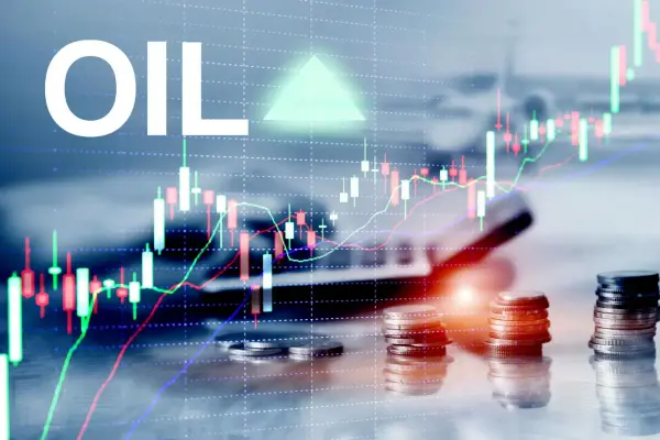 Risk Management and Financing - Financial solutions and risk mitigation