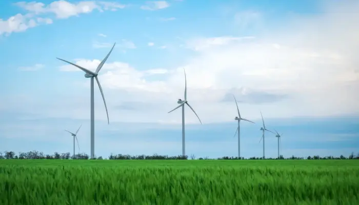 Sustainability and innovation